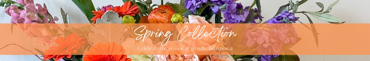 Spring Collection